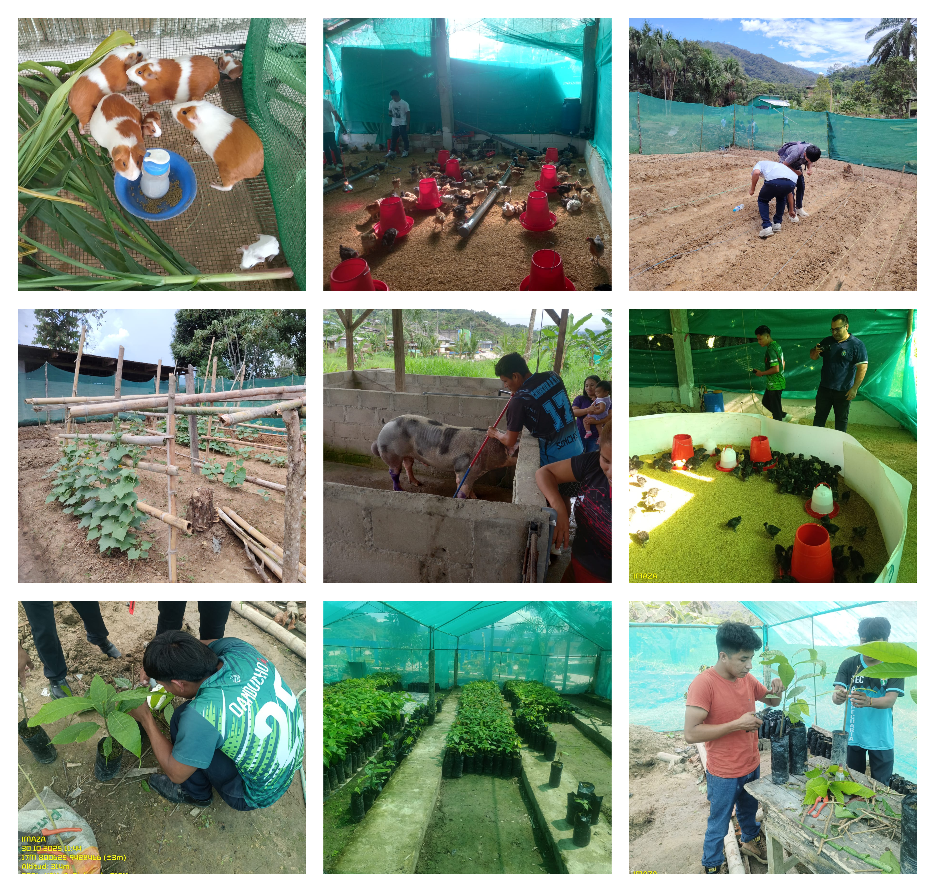 Mejora de Infraestructura de Laboratorios